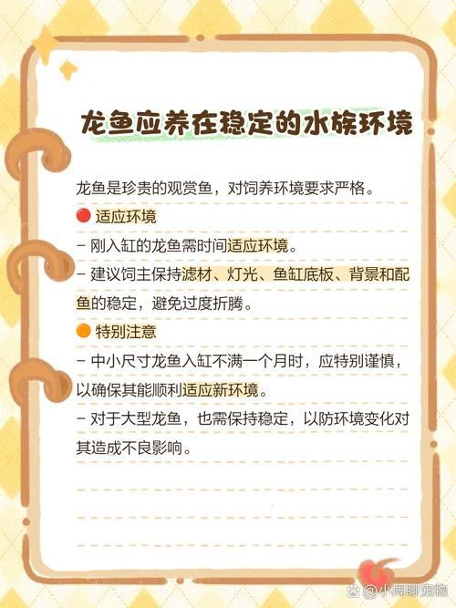 古龍魚圖片大全高清大圖