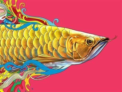 金龍魚吧 百度貼吧官網(wǎng)（金龍魚與其他品牌比較,金龍魚品牌營(yíng)銷策略分析）