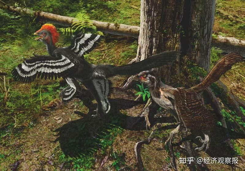 高清龍圖片的版權問題
