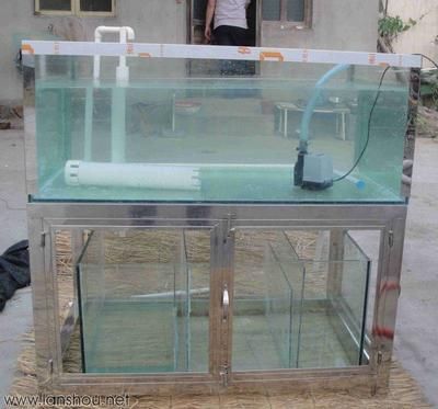 龍魚缸底濾缸設計圖集：龍魚缸底濾缸設計圖集詳細展示底濾缸布局提升美觀度方法