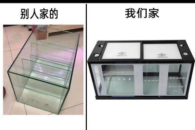 龍魚缸底濾缸設計圖集：龍魚缸底濾缸設計圖集詳細展示底濾缸布局提升美觀度方法