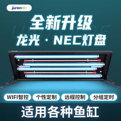 龍魚專用燈架：龍魚專用燈架有哪些優勢