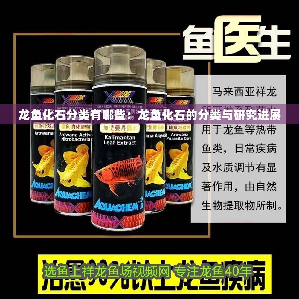 龍魚化石分類有哪些：龍魚化石的分類與研究進(jìn)展