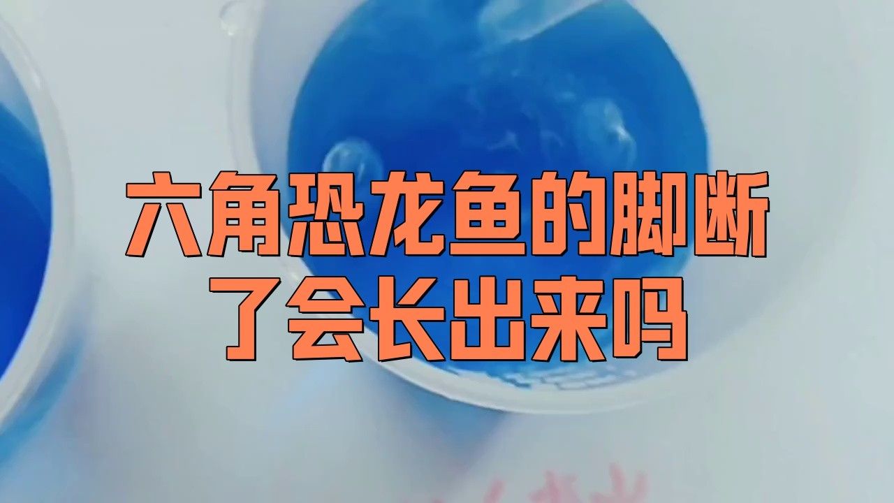 六角恐龍魚再生能力有多強？