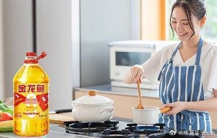金禾金龍魚哪個系列性價比最高？