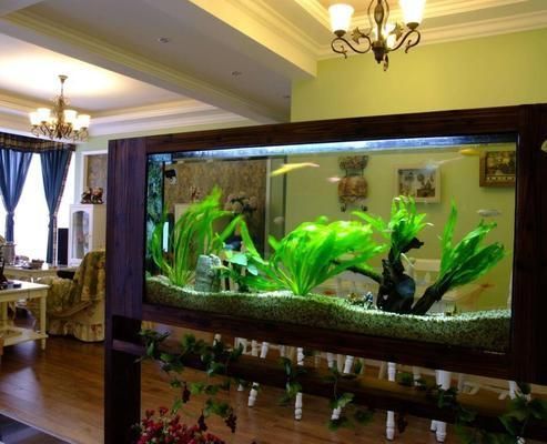 紅老虎可以和龍魚能混養么（紅老虎魚和龍魚可以混養嗎？）