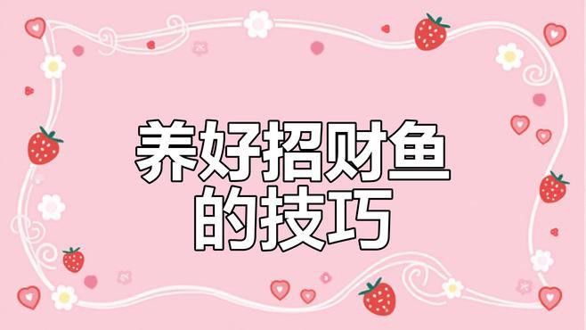 紅眼白子招財龍好養嗎？