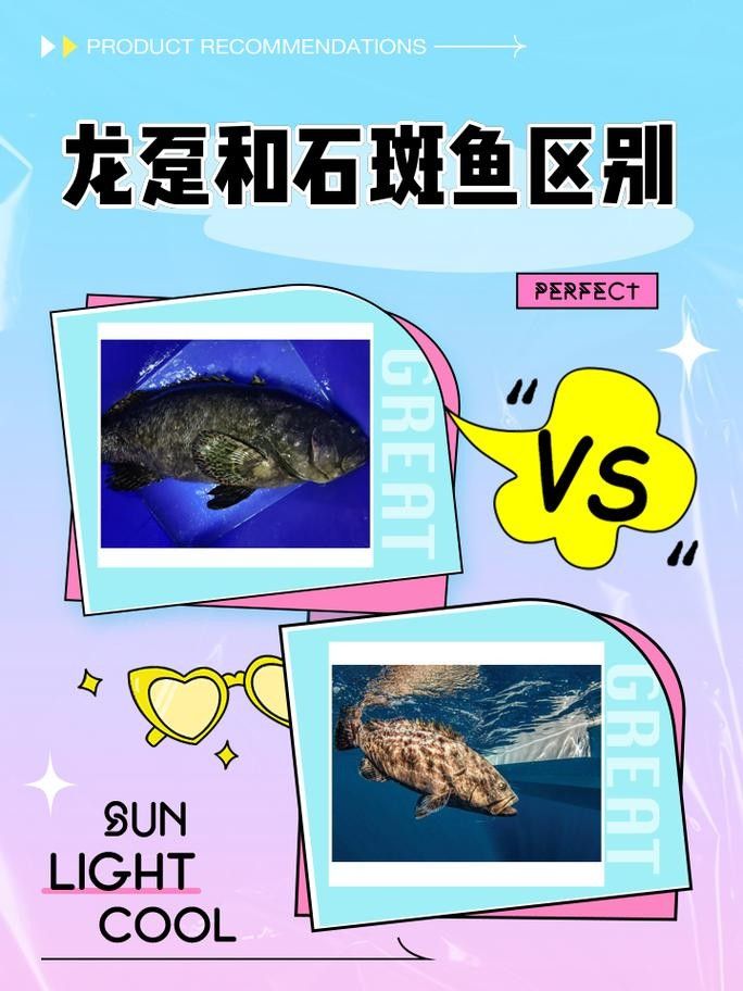 龍躉魚的市場價格波動大嗎？
