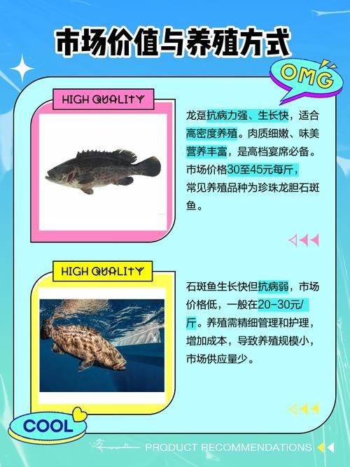 龍躉魚的市場價格波動大嗎？