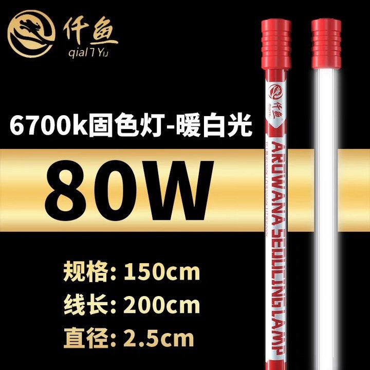 NEC潛水龍魚燈的具體型號有哪些？ NEC潛水龍魚燈的具體型號有哪些？ 龍魚百科 第7張
