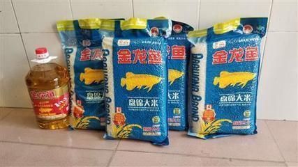 龍魚(yú)買大的好還是小的好：龍魚(yú)養(yǎng)殖新手入門指南