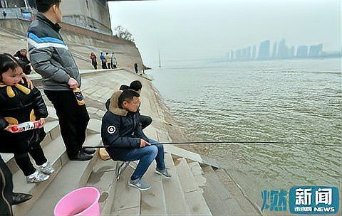 六角恐龍放生有哪些潛在風(fēng)險？