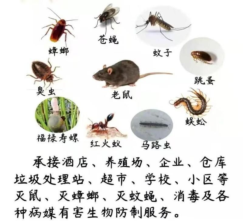 滅鼠公司聯(lián)系方式