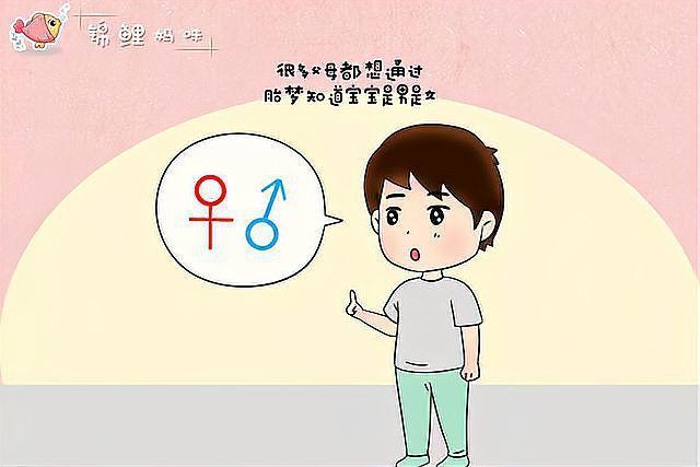 金龍魚是暗示男生還是女生