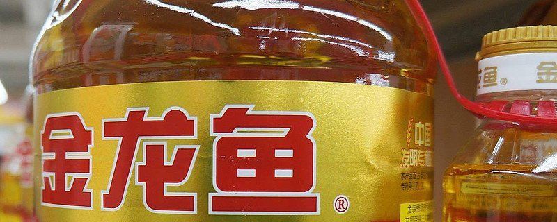 金龍魚是暗示男生還是女生