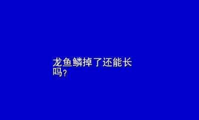 龍魚的魚鱗掉了一個可以恢復嗎：龍魚的魚鱗掉了一個可以恢復嗎龍魚的魚鱗掉了一個可以恢復嗎
