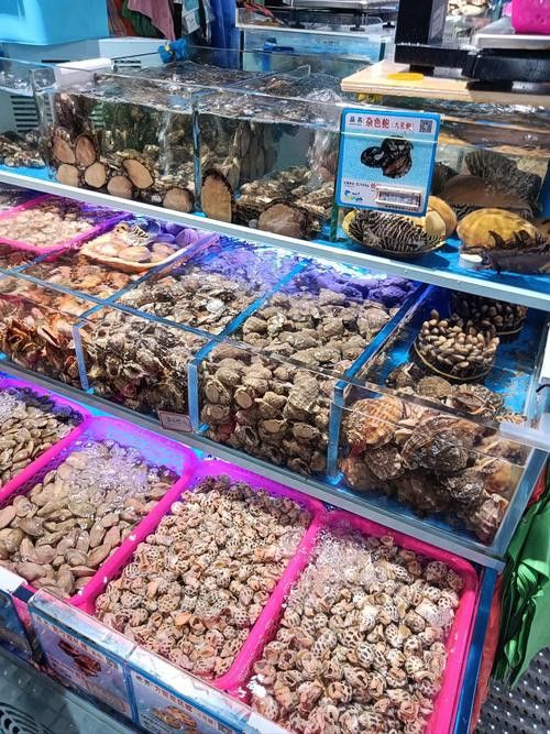 海南過江龍魚多少錢