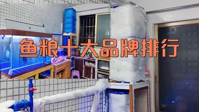 龍魚魚糧什么牌子好用一點