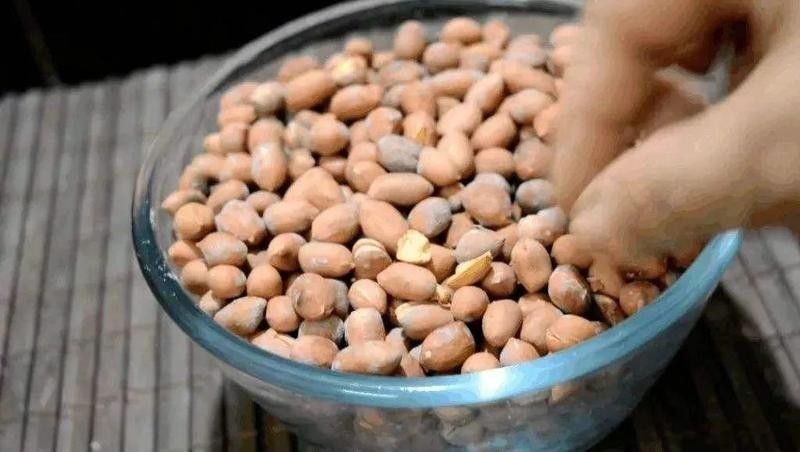 龍魚可以長期喂飼料嗎有毒嗎