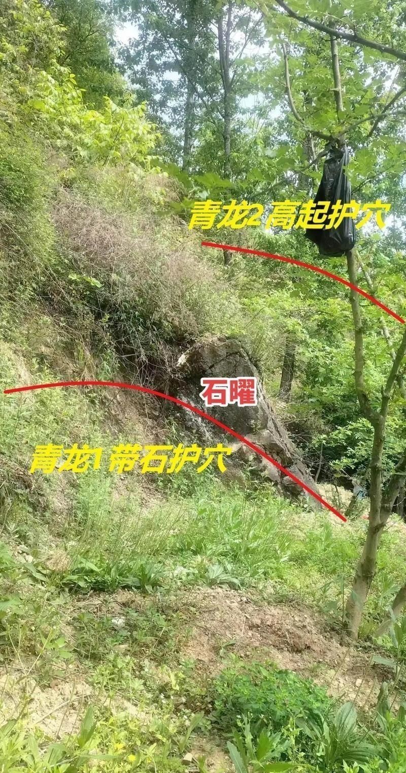 風(fēng)水生龍圖片大全大圖高清