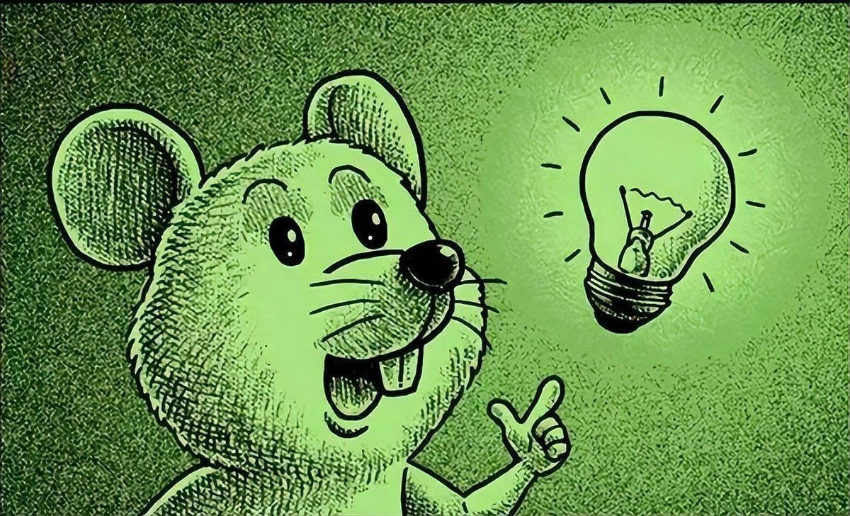 老鼠圖片