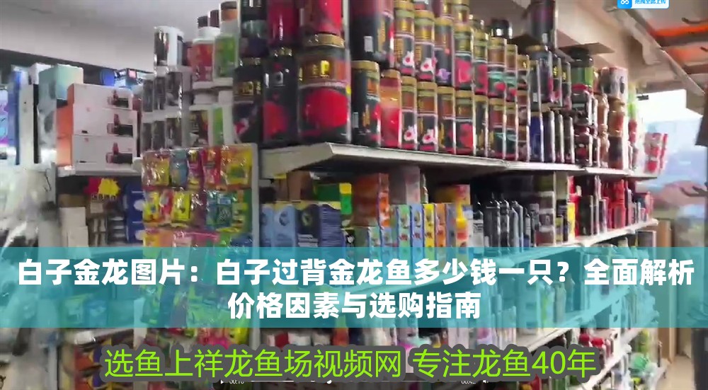白子金龍圖片：白子過背金龍魚多少錢一只？全面解析價格因素與選購指南