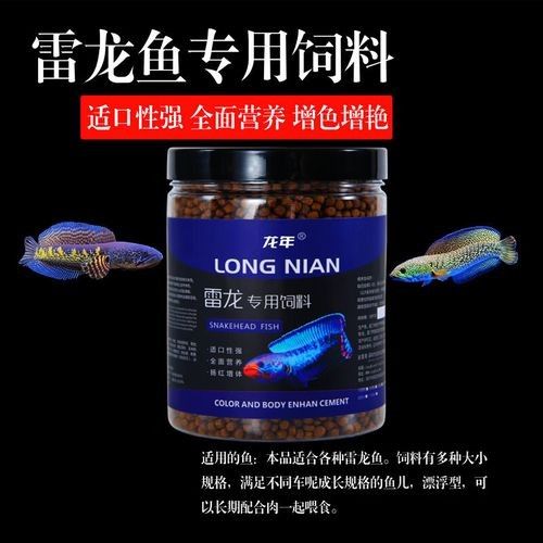 雷龍魚發(fā)色飼料有哪些推薦？