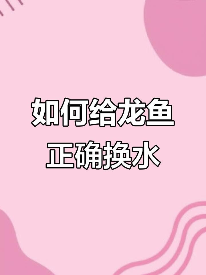 龍魚飼養需要多久換一次水？