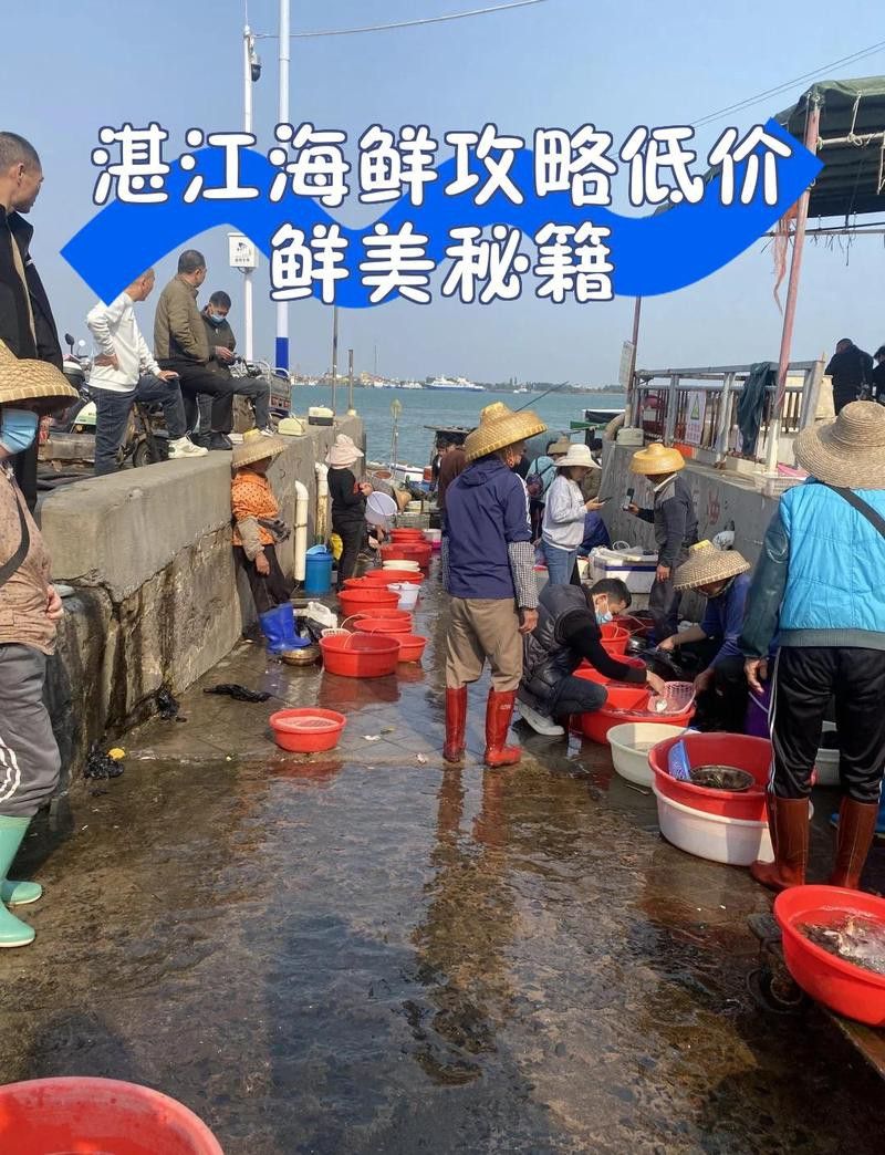 湛江龍魚批發市場在哪里啊