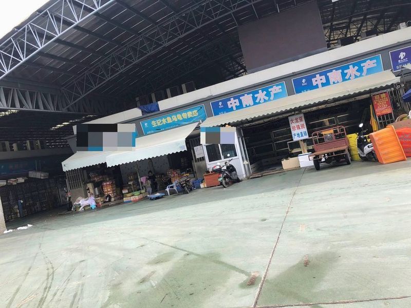 湛江龍魚批發市場在哪里啊