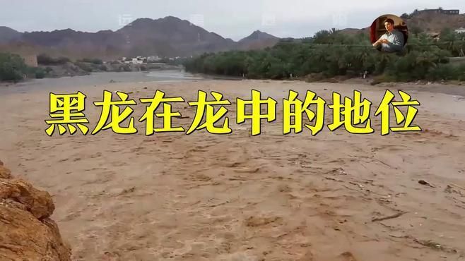 黑龍與其他神話生物比較