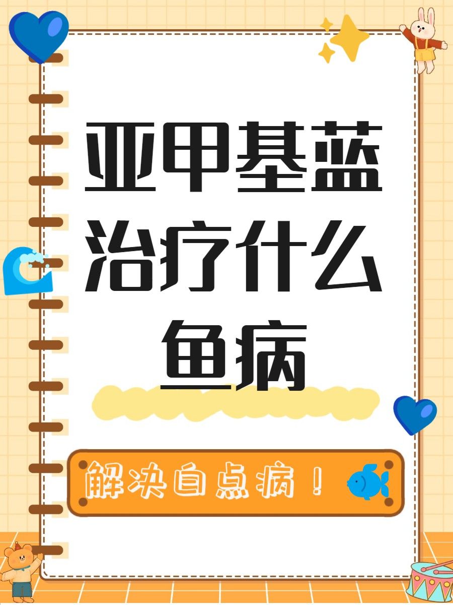 亞甲基藍治療龍魚多久見效？ 亞甲基藍治療龍魚多久見效？ 龍魚百科 第3張