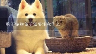 沈陽(yáng)金龍魚寵物店（沈陽(yáng)寵物店魚缸水泵價(jià)格）