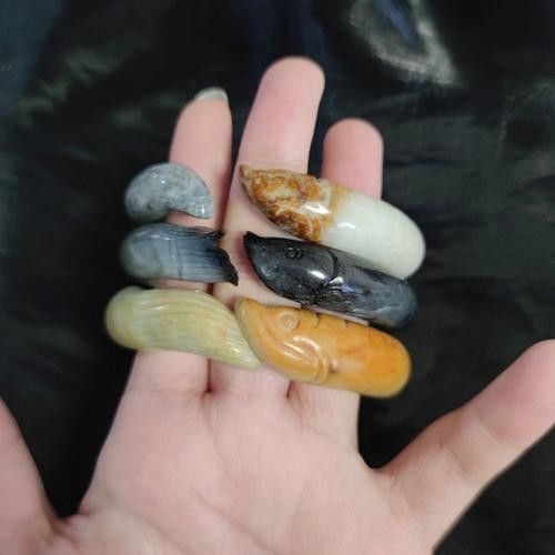 老鳳祥金龍魚