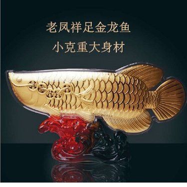 老鳳祥金龍魚