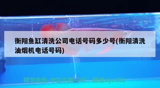 衡陽魚缸清洗公司電話號碼多少號(衡陽清洗油煙機(jī)電話號碼)