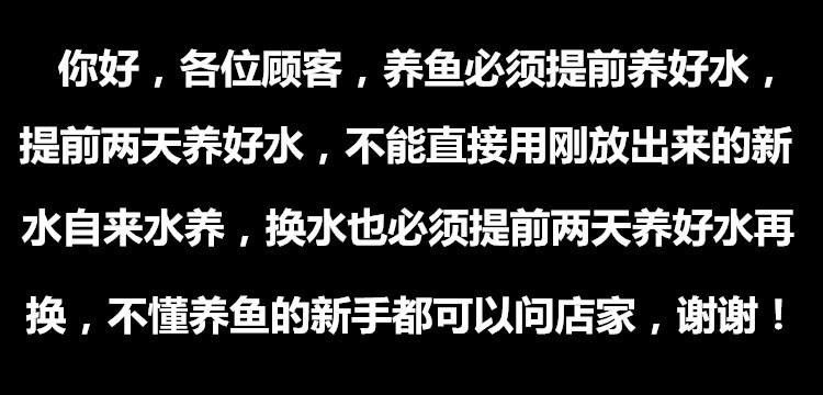 黃龍魚圖片大全圖片高清