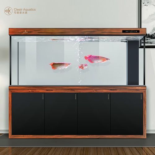 金龍魚魚缸價格范圍 金龍魚魚缸價格范圍 龍魚百科 第7張