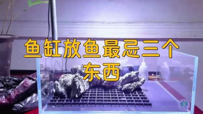 馬印水族魚缸最怕三個(gè)東西