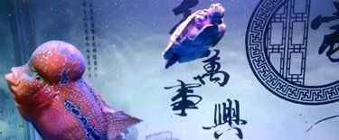 龍巔