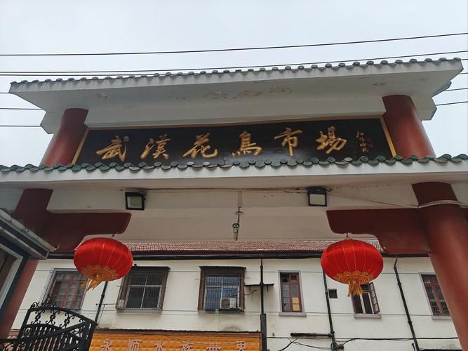 遼陽萬隆花鳥魚市場圖片