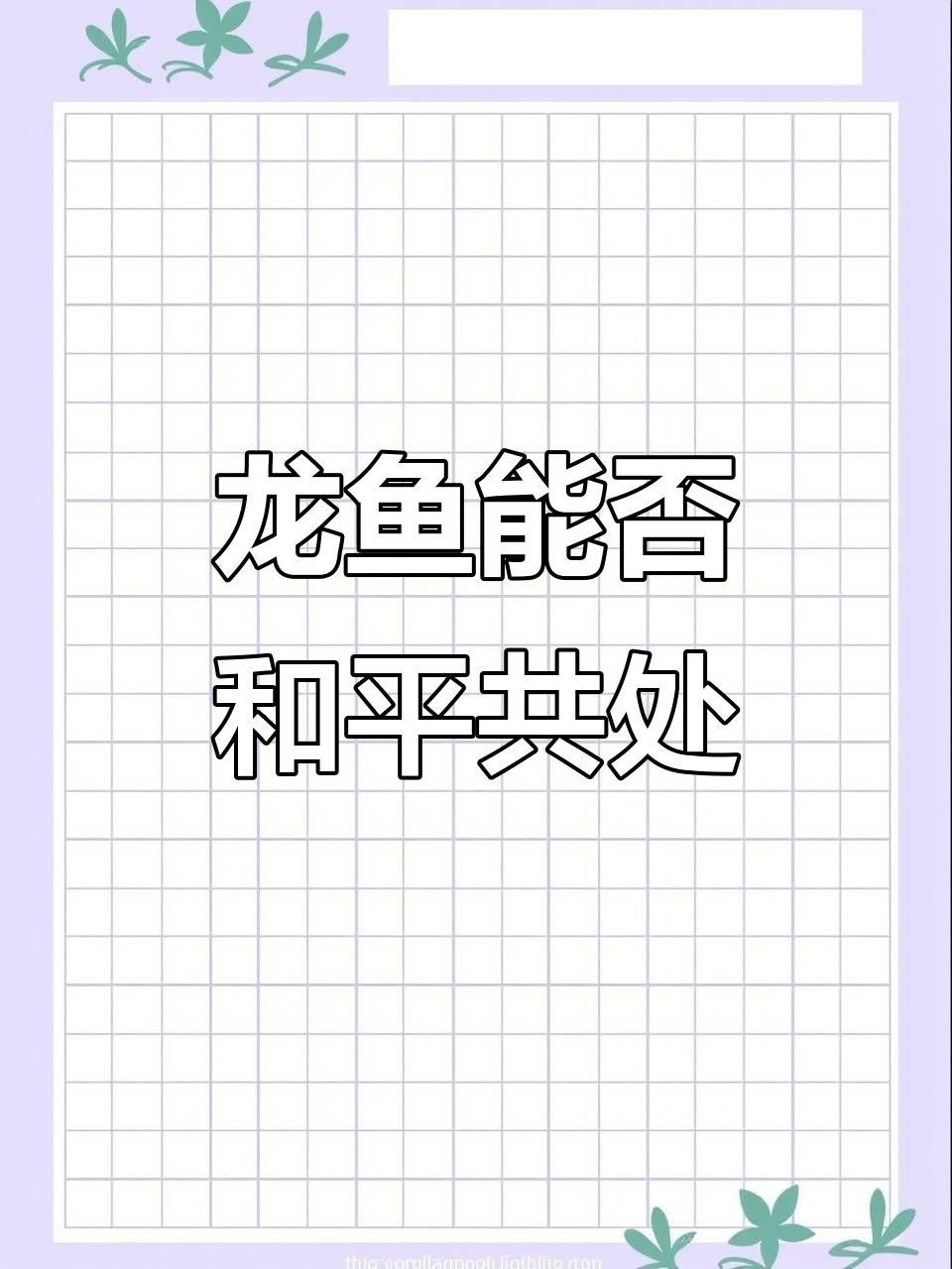 如何判斷龍魚是否適應混養？