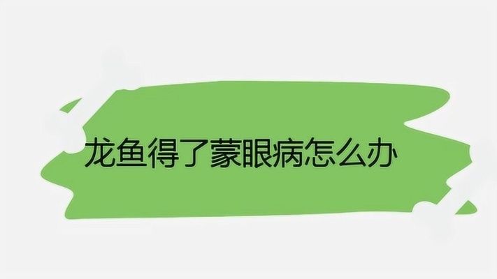 龍魚蒙眼病幾天可以喂食（龍魚蒙眼病恢復期的飲食安排）