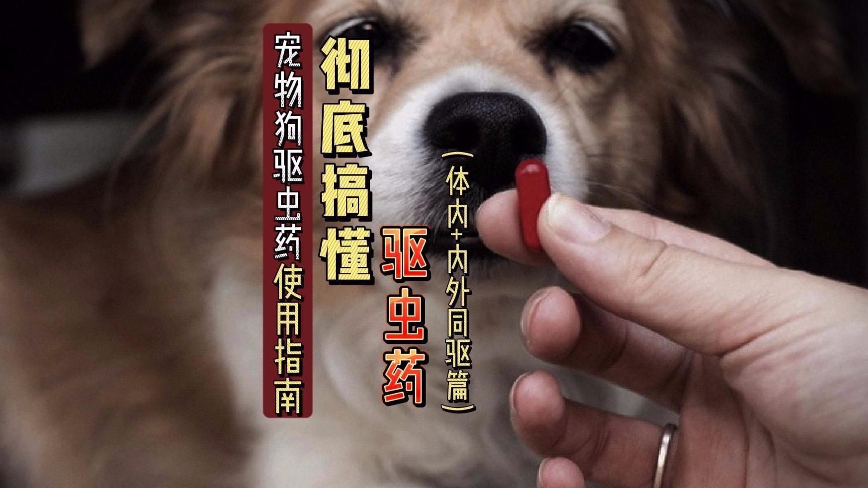 有哪些常見的驅蟲藥物？