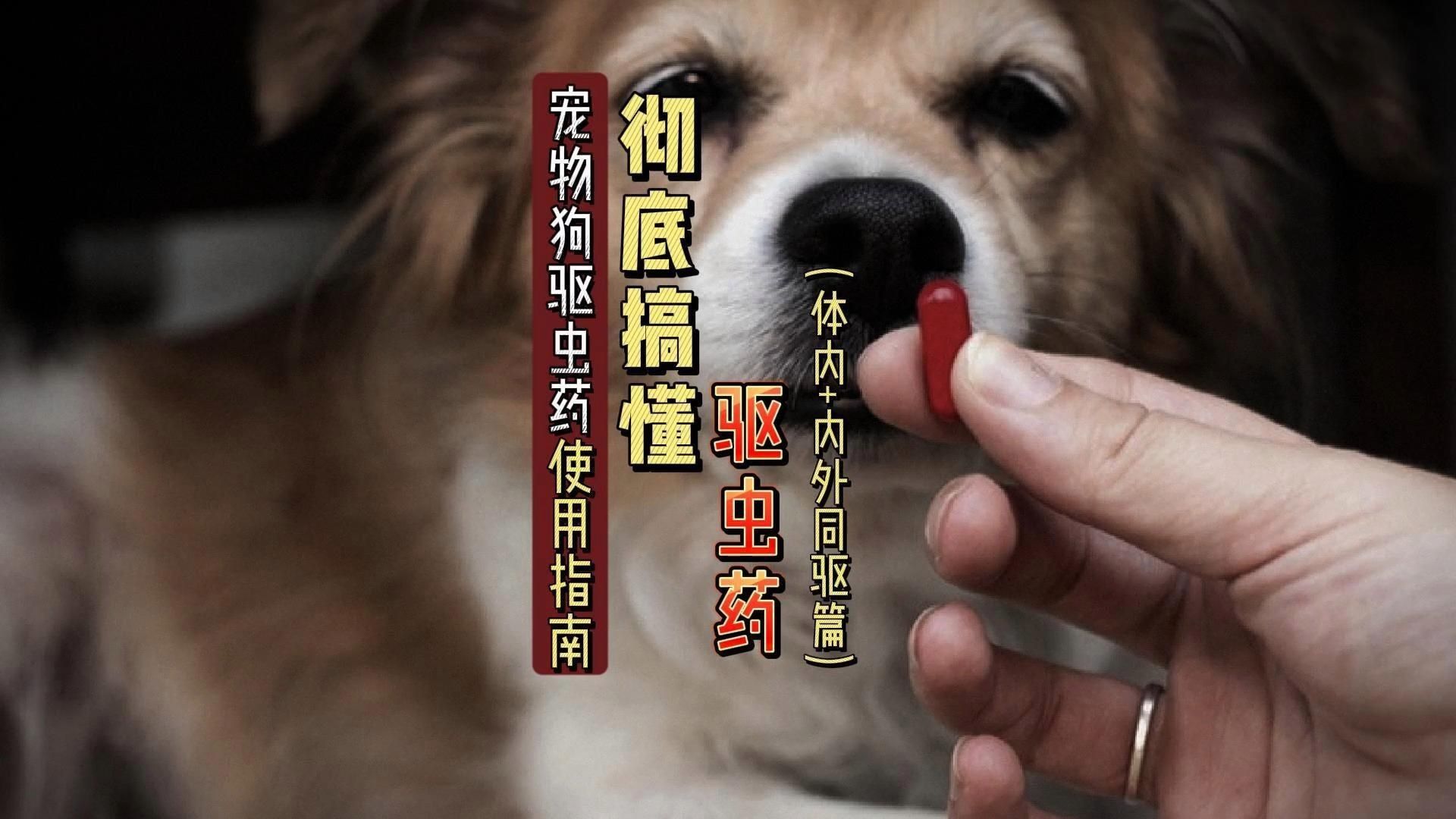 有哪些常見的驅蟲藥物？