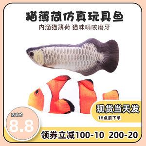 魚缸不換水行嗎會怎么樣（如何建立高效的過濾系統(tǒng)魚缸水質(zhì)惡化的預(yù)防措施）