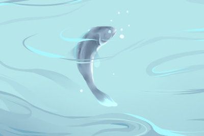 養龍魚10大忌：養龍魚時需要注意的十大忌諱