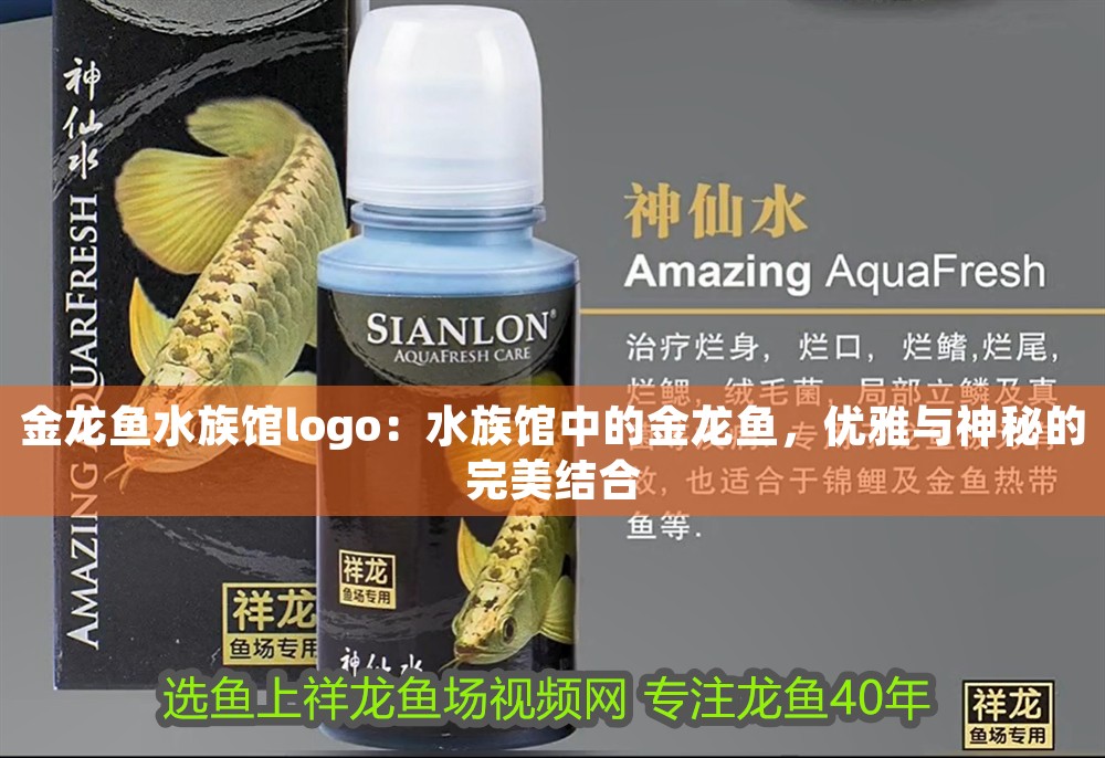 金龍魚水族館logo：水族館中的金龍魚，優(yōu)雅與神秘的完美結(jié)合
