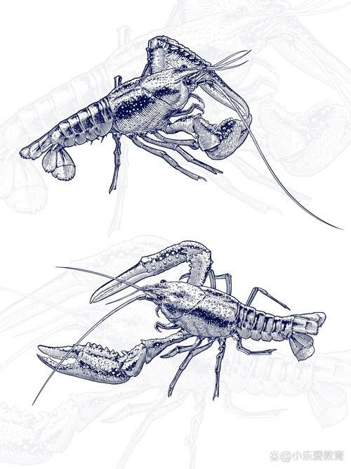 有哪些免費的龍蝦插畫資源？