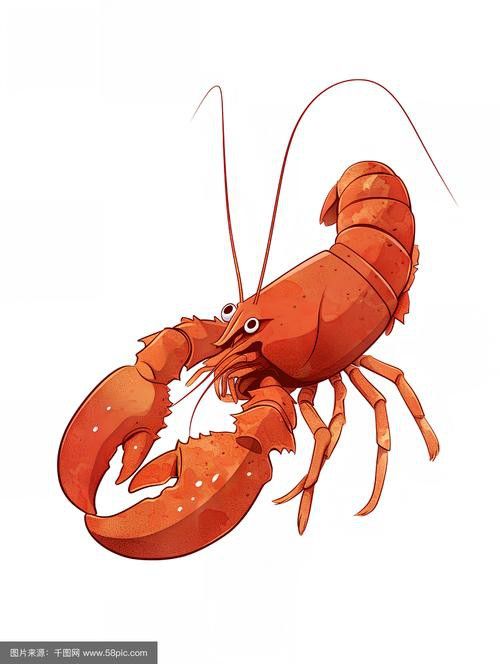 有哪些免費的龍蝦插畫資源？